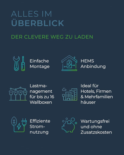 Heidelberg Amperfied Wallbox Energy Control 11 kW - 5m Ladekabel