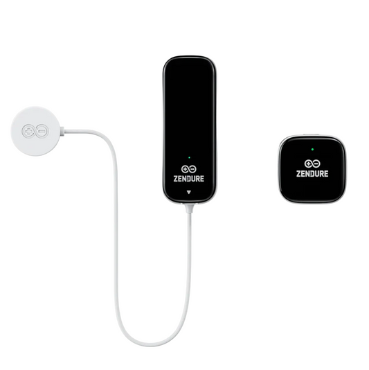 Zendure Smart Meter D0