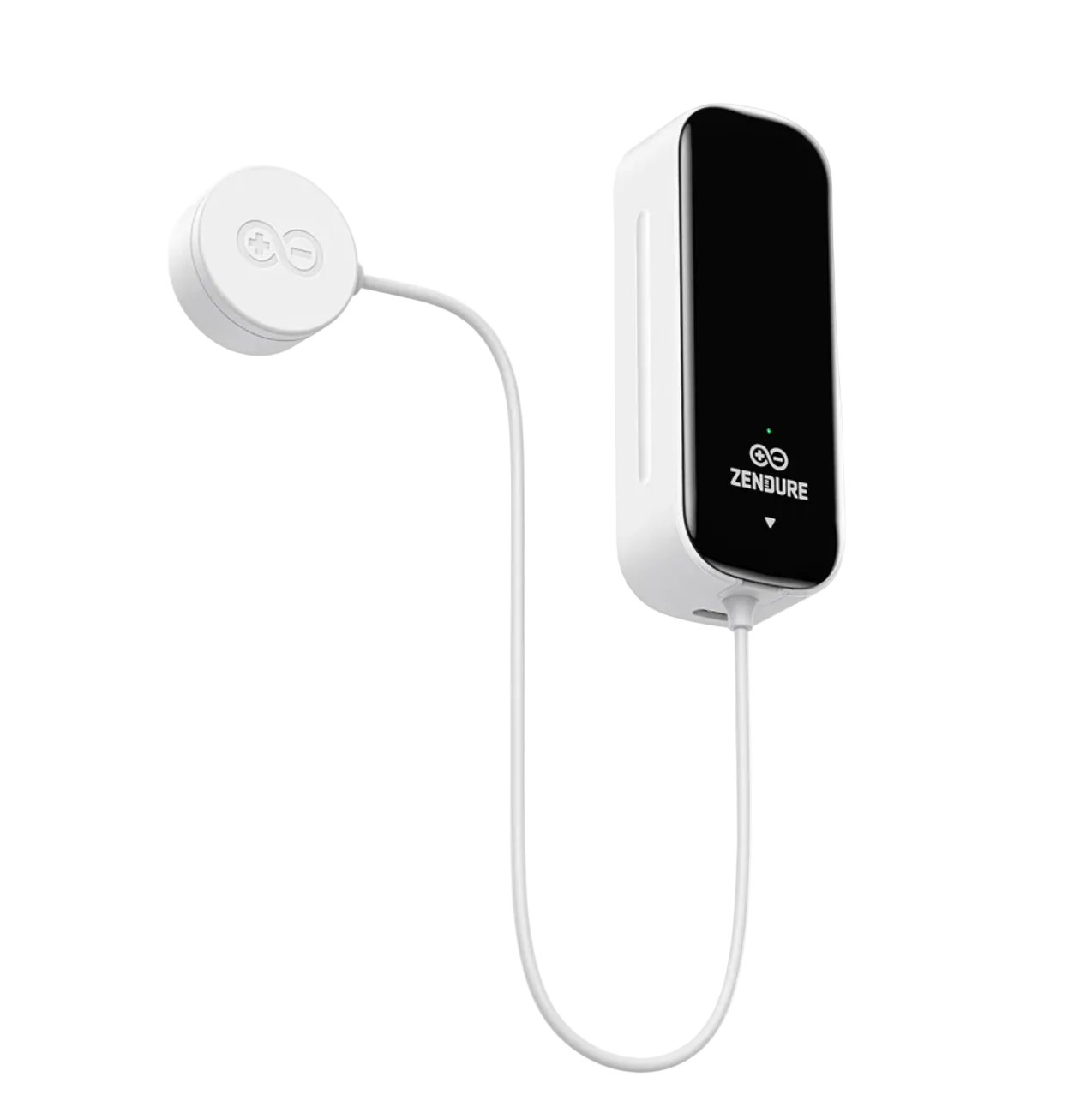Zendure Smart Meter D0