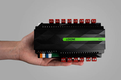 Relay Extension 100038 3
