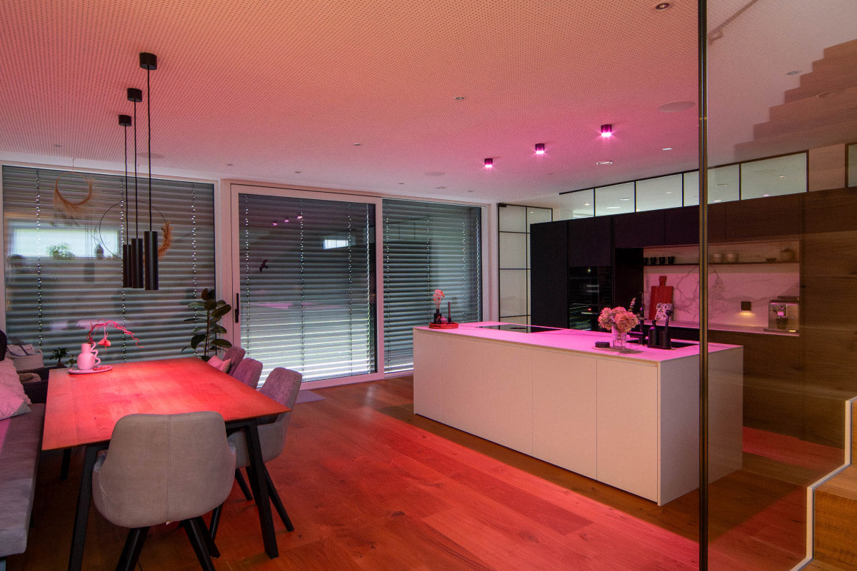 LED Aufbauspot RGBW Tree Anthrazit 100504 2