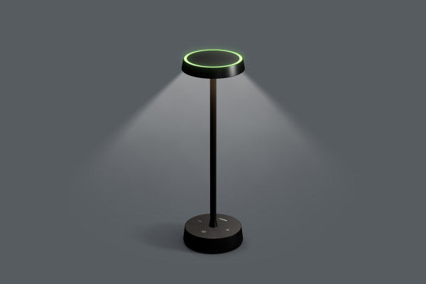 Table Lamp Air Anthrazit 100551 6