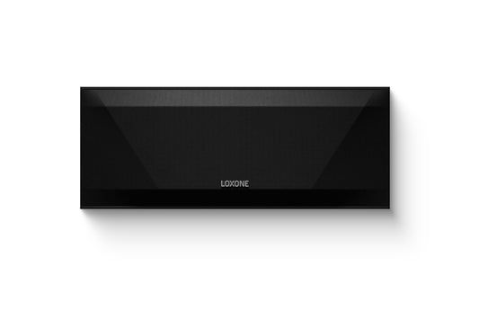 Wireless Speaker 610165
